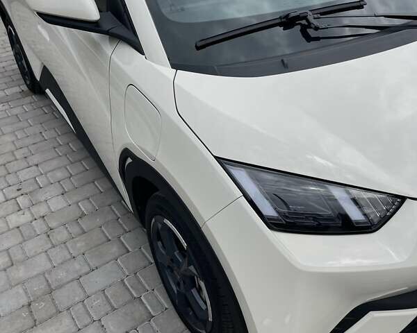 Бежевый БИД Seagull, объемом двигателя 0 л и пробегом 10 тыс. км за 14000 $, фото 3 на Automoto.ua