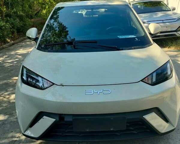 Бежевый БИД Seagull, объемом двигателя 0 л и пробегом 6 тыс. км за 13400 $, фото 1 на Automoto.ua