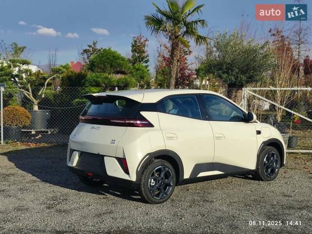 Бежевый БИД Seagull, объемом двигателя 0 л и пробегом 2 тыс. км за 16500 $, фото 4 на Automoto.ua