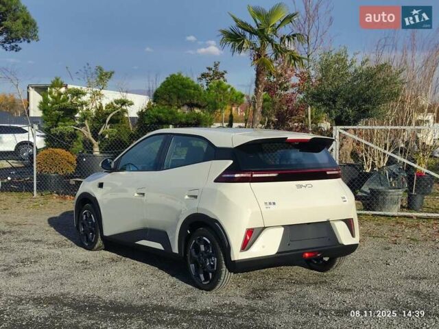 Бежевый БИД Seagull, объемом двигателя 0 л и пробегом 2 тыс. км за 16500 $, фото 6 на Automoto.ua