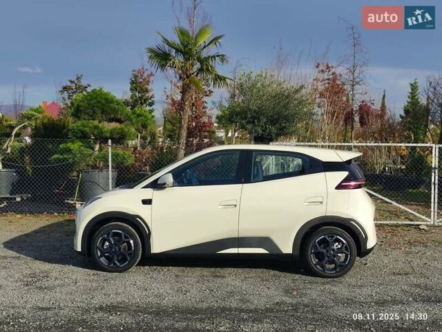 Бежевый БИД Seagull, объемом двигателя 0 л и пробегом 2 тыс. км за 16500 $, фото 3 на Automoto.ua