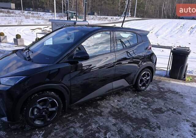 Черный БИД Seagull, объемом двигателя 0 л и пробегом 25 тыс. км за 14000 $, фото 2 на Automoto.ua
