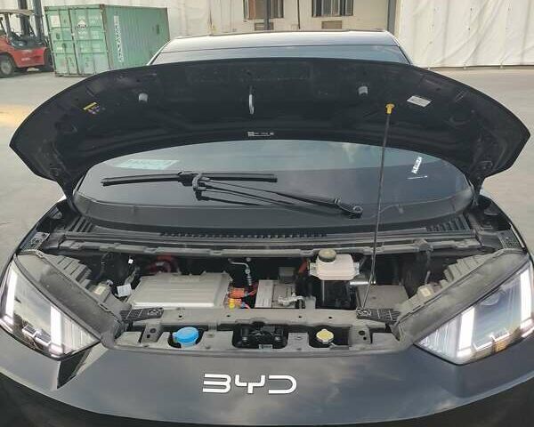 Черный БИД Seagull, объемом двигателя 0 л и пробегом 5 тыс. км за 12400 $, фото 2 на Automoto.ua