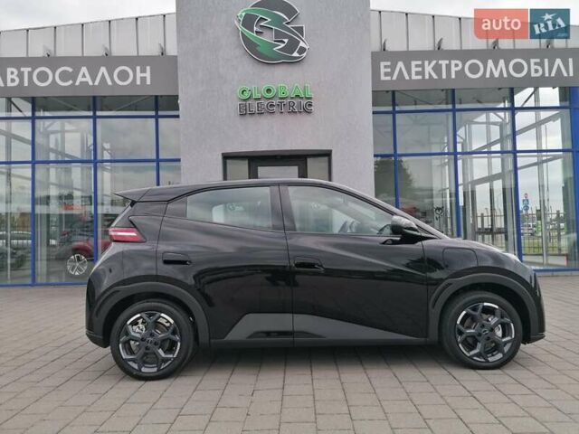Черный БИД Seagull, объемом двигателя 0 л и пробегом 1 тыс. км за 15800 $, фото 7 на Automoto.ua