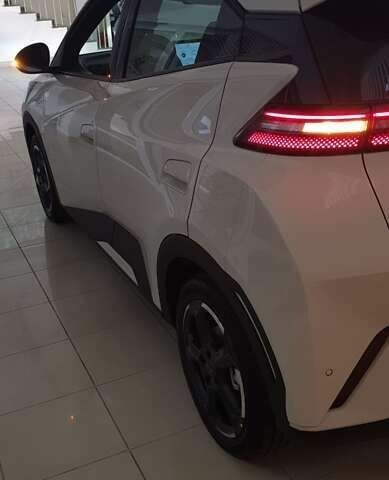 БИД Seagull, объемом двигателя 0 л и пробегом 4 тыс. км за 13800 $, фото 4 на Automoto.ua