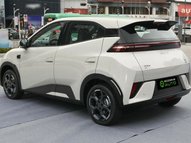 купить новое авто БИД Seagull 2025 года от официального дилера Автосалон ECODRIVE AUTO Київ БИД фото