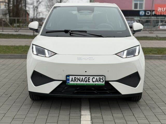 купити нове авто БІД Seagull 2025 року від офіційного дилера Алексей БІД фото