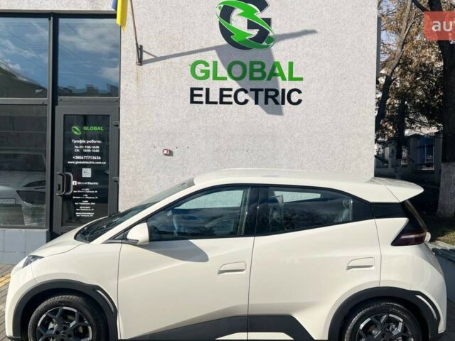 купити нове авто БІД Seagull 2025 року від офіційного дилера Global Electric БІД фото