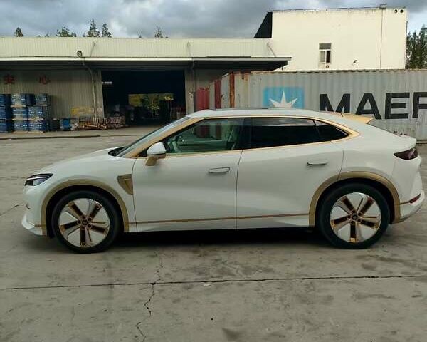 Білий БІД Song L, об'ємом двигуна 0 л та пробігом 6 тис. км за 27500 $, фото 6 на Automoto.ua