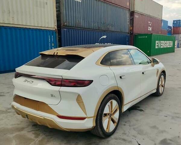 Білий БІД Song L, об'ємом двигуна 0 л та пробігом 6 тис. км за 27500 $, фото 4 на Automoto.ua