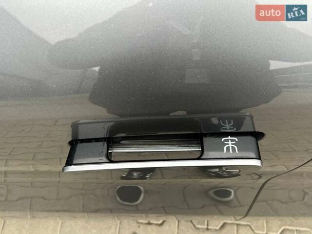 Сірий БІД Song L, об'ємом двигуна 0 л та пробігом 24 тис. км за 24000 $, фото 35 на Automoto.ua