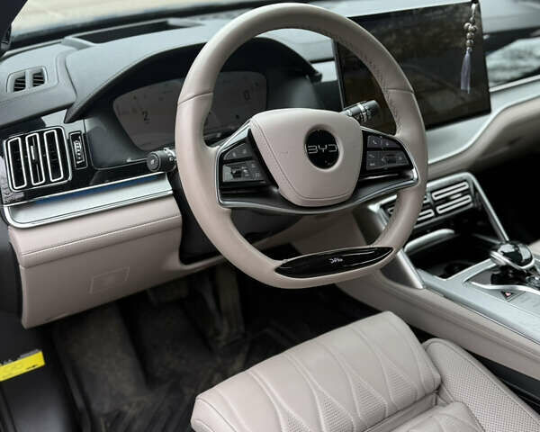 Серый БИД Tang, объемом двигателя 0 л и пробегом 33 тыс. км за 37000 $, фото 9 на Automoto.ua