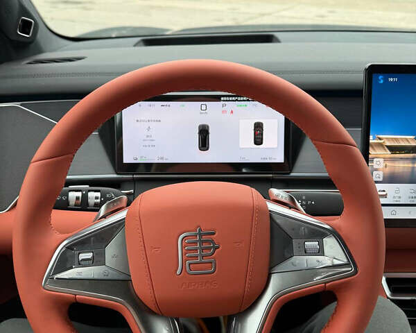 Сірий БІД Tang L, об'ємом двигуна 0 л та пробігом 1 тис. км за 40900 $, фото 18 на Automoto.ua