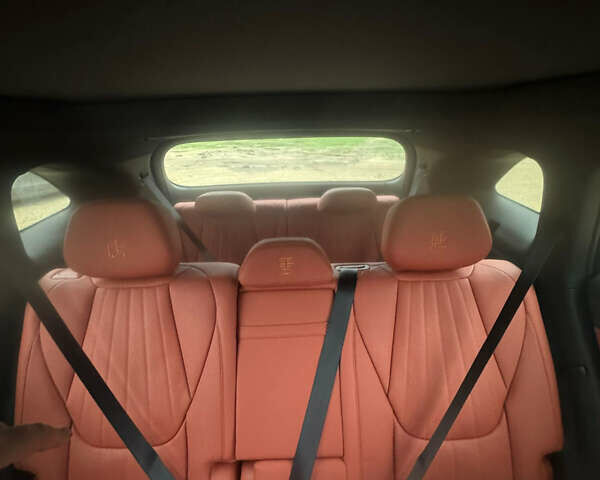 Серый БИД Tang L, объемом двигателя 0 л и пробегом 2 тыс. км за 43999 $, фото 10 на Automoto.ua