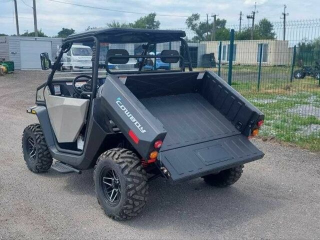 Баггі Інша, об'ємом двигуна 1 л та пробігом 0 тис. км за 22000 $, фото 3 на Automoto.ua