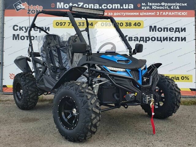 Багги Другая, объемом двигателя 0.3 л и пробегом 0 тыс. км за 3999 $, фото 13 на Automoto.ua