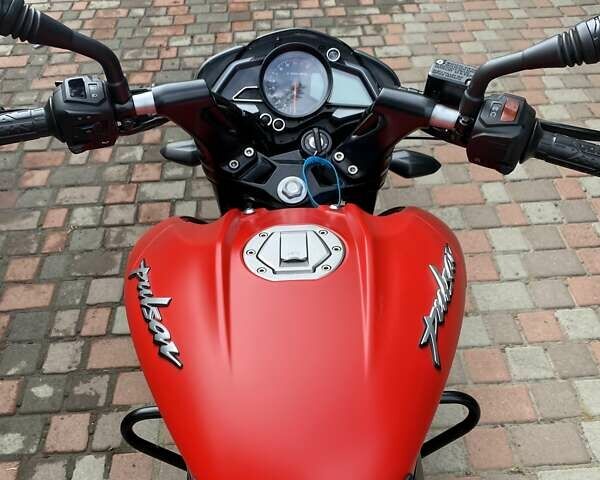 Красный Баджадж Pulsar NS200, объемом двигателя 0.2 л и пробегом 8 тыс. км за 2000 $, фото 3 на Automoto.ua