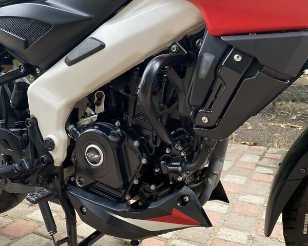Красный Баджадж Pulsar NS200, объемом двигателя 0.2 л и пробегом 8 тыс. км за 2000 $, фото 6 на Automoto.ua