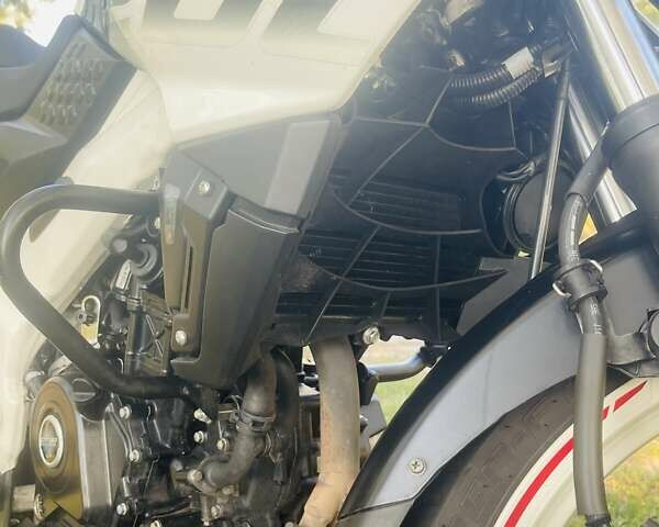 Баджадж Pulsar NS200, объемом двигателя 0.2 л и пробегом 18 тыс. км за 2000 $, фото 10 на Automoto.ua
