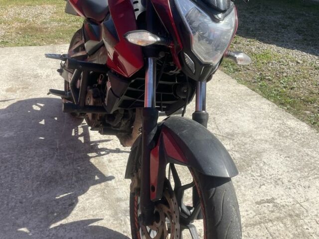 Баджадж Pulsar NS200, об'ємом двигуна 0.2 л та пробігом 0 тис. км за 1800 $, фото 1 на Automoto.ua