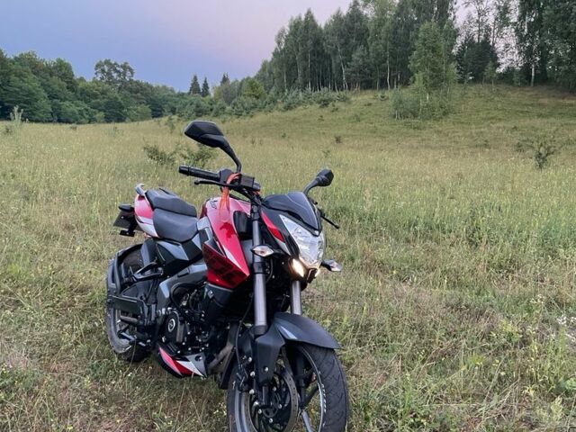 Баджадж Pulsar NS200, об'ємом двигуна 0.2 л та пробігом 0 тис. км за 2800 $, фото 1 на Automoto.ua