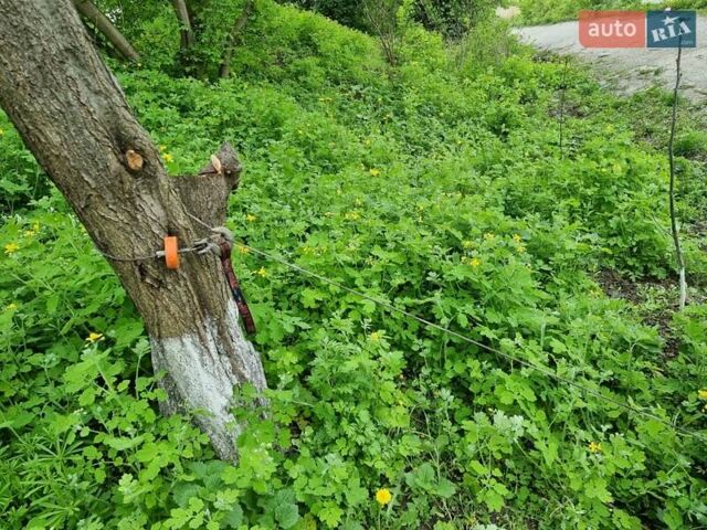 Білий Башан БС200, об'ємом двигуна 0 л та пробігом 1 тис. км за 1749 $, фото 18 на Automoto.ua