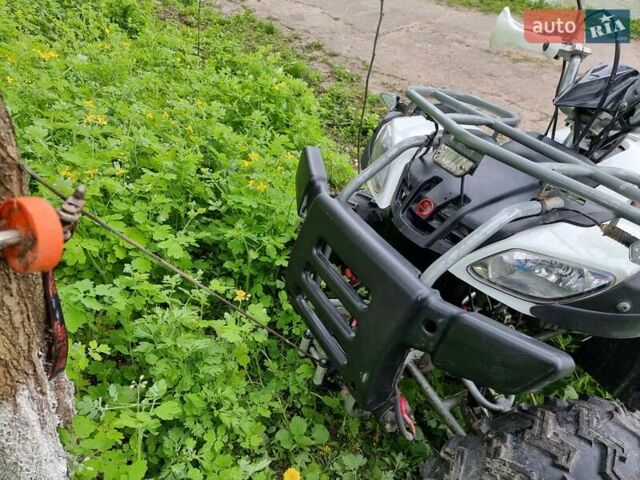 Білий Башан БС200, об'ємом двигуна 0 л та пробігом 1 тис. км за 1749 $, фото 19 на Automoto.ua