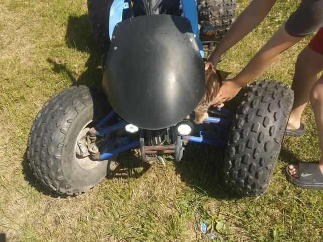 Башан Другая, объемом двигателя 0 л и пробегом 0 тыс. км за 312 $, фото 4 на Automoto.ua