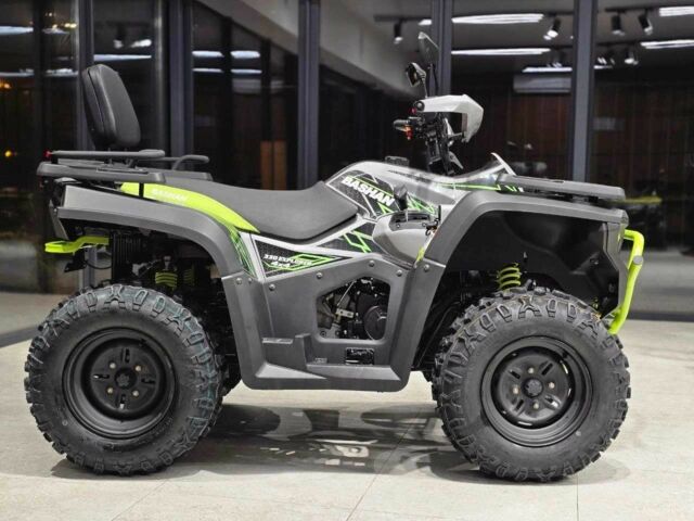 Башан Другая, объемом двигателя 0.3 л и пробегом 0 тыс. км за 4690 $, фото 1 на Automoto.ua