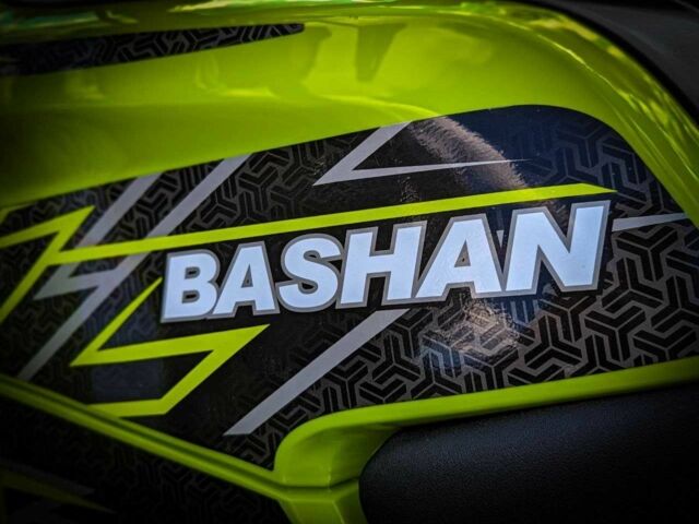 Башан Explorer 330, объемом двигателя 0.3 л и пробегом 0 тыс. км за 3950 $, фото 19 на Automoto.ua