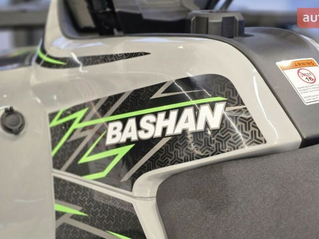 Башан Explorer 330, об'ємом двигуна 0.27 л та пробігом 0 тис. км за 4990 $, фото 43 на Automoto.ua