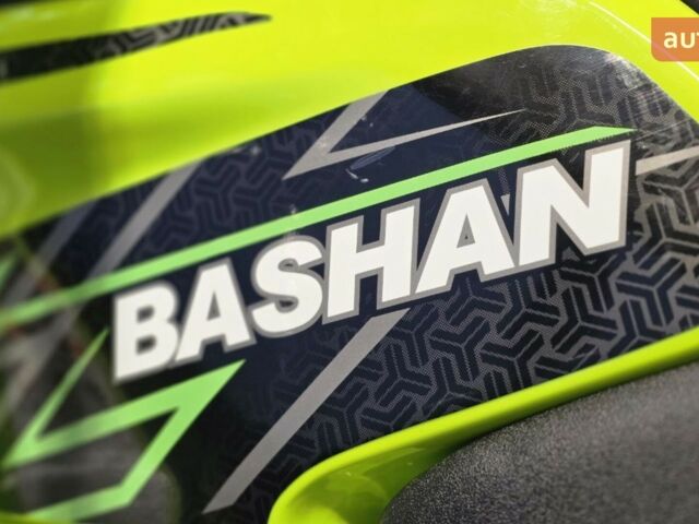 Башан Explorer 330, объемом двигателя 0.27 л и пробегом 0 тыс. км за 4990 $, фото 42 на Automoto.ua