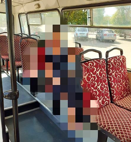 Білий Богдан А-091, об'ємом двигуна 4.6 л та пробігом 0 тис. км за 5000 $, фото 4 на Automoto.ua