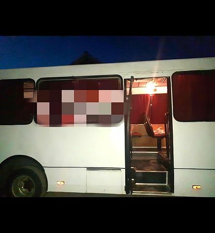 Білий Богдан А-091, об'ємом двигуна 4.6 л та пробігом 0 тис. км за 5000 $, фото 1 на Automoto.ua