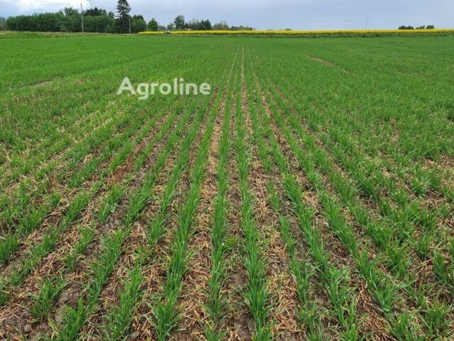 Красный Bourgault Другая, объемом двигателя 0 л и пробегом 0 тыс. км за 215688 $, фото 4 на Automoto.ua