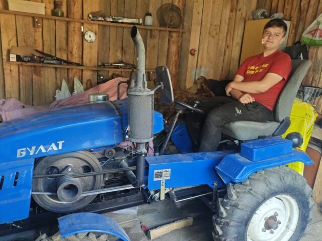 Синий Булат 160, объемом двигателя 0 л и пробегом 15 тыс. км за 1800 $, фото 3 на Automoto.ua