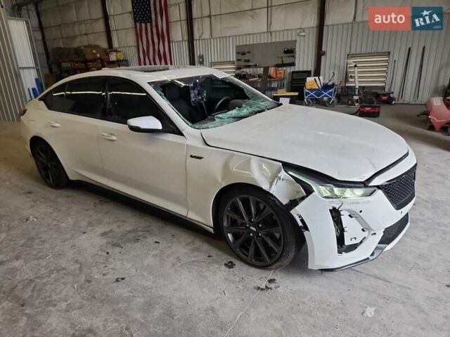 Каділак CT5-V 2024 у Львові на Automoto.ua Білий Каділак CT5-V, об'ємом двигуна 3 л та пробігом 19 тис. км за 25000 $, фото 8 на Automoto.ua