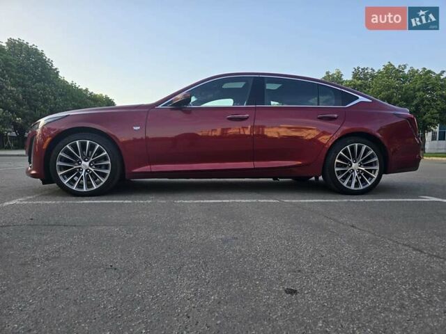 Красный Кадиллак CT5, объемом двигателя 2 л и пробегом 81 тыс. км за 33500 $, фото 60 на Automoto.ua