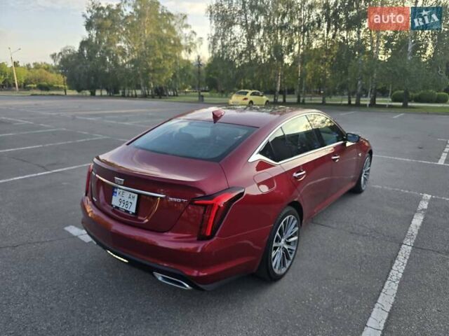 Красный Кадиллак CT5, объемом двигателя 2 л и пробегом 81 тыс. км за 32500 $, фото 75 на Automoto.ua