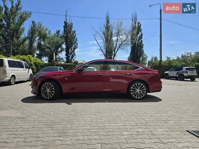 Красный Кадиллак CT5, объемом двигателя 2 л и пробегом 81 тыс. км за 33500 $, фото 9 на Automoto.ua