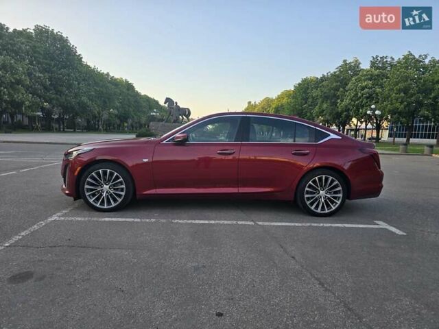 Красный Кадиллак CT5, объемом двигателя 2 л и пробегом 81 тыс. км за 32500 $, фото 10 на Automoto.ua