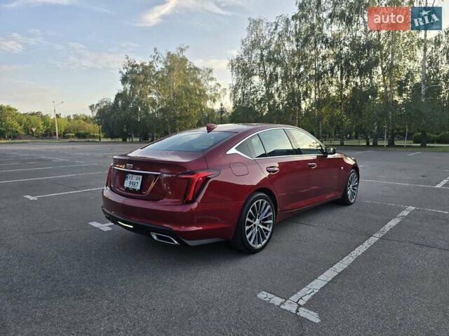 Красный Кадиллак CT5, объемом двигателя 2 л и пробегом 81 тыс. км за 32500 $, фото 74 на Automoto.ua