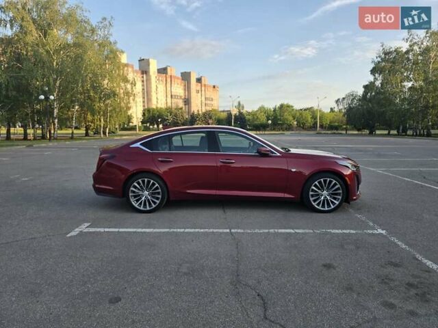 Красный Кадиллак CT5, объемом двигателя 2 л и пробегом 81 тыс. км за 33500 $, фото 63 на Automoto.ua