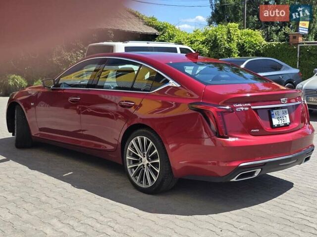 Красный Кадиллак CT5, объемом двигателя 2 л и пробегом 81 тыс. км за 33500 $, фото 6 на Automoto.ua
