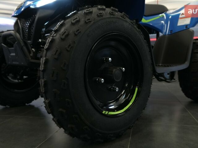 купить новое авто СФ мото CForce 110 2025 года от официального дилера Вояж Motorsports СФ мото фото