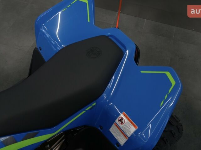 купить новое авто СФ мото CForce 110 2025 года от официального дилера Вояж Motorsports СФ мото фото