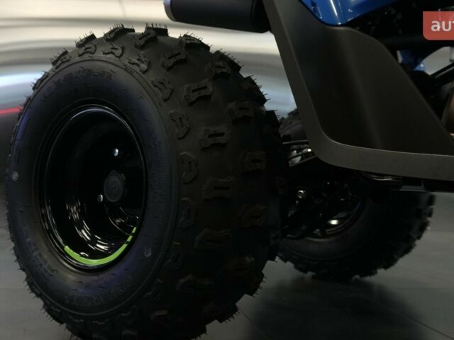 купить новое авто СФ мото CForce 110 2025 года от официального дилера Вояж Motorsports СФ мото фото