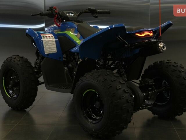 купить новое авто СФ мото CForce 110 2025 года от официального дилера Вояж Motorsports СФ мото фото