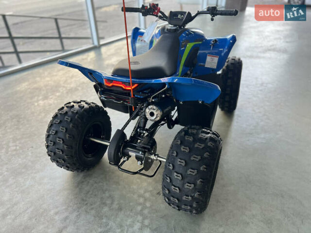 Синий СФ мото CForce 110, объемом двигателя 0.1 л и пробегом 1 тыс. км за 2250 $, фото 5 на Automoto.ua