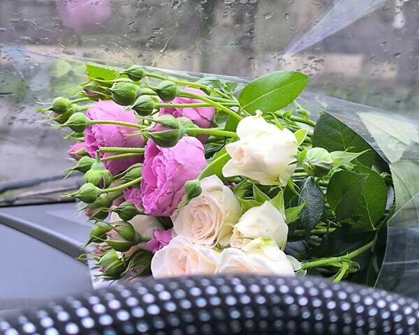 Сірий Чері М11, об'ємом двигуна 1.6 л та пробігом 98 тис. км за 4199 $, фото 10 на Automoto.ua